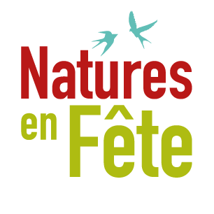 organizer-logo