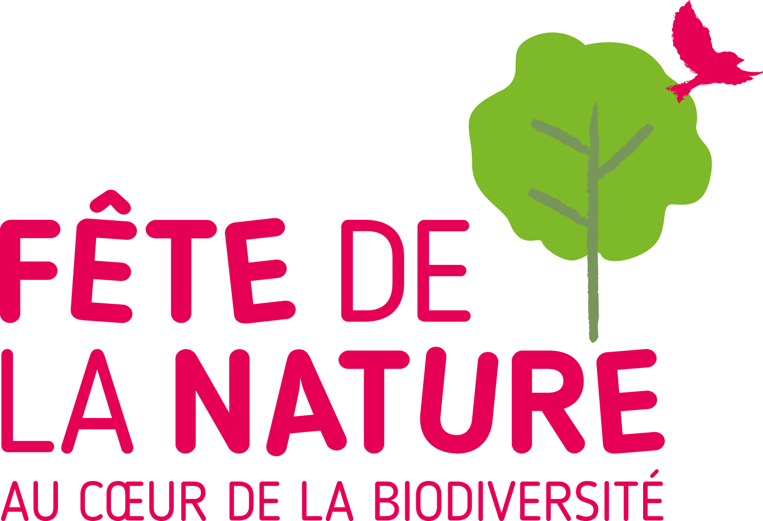 organizer-logo