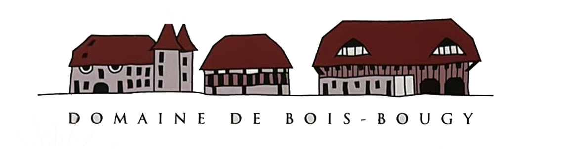 organizer-logo